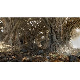 Dragon Forest
